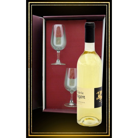 Coffret cadeau Elixir de Dragon, 2 verres à vin et Hydromel moelleux 75cl